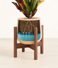 Load image into Gallery viewer, Gentle Pink stand:walnut