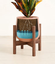 Load image into Gallery viewer, Calm Rose stand:walnut