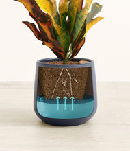 Load image into Gallery viewer, Deep Navy