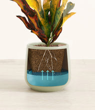 Load image into Gallery viewer, Turquoise