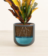 Load image into Gallery viewer, Iron Gray