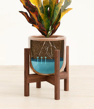 Load image into Gallery viewer, Hammered Peach Pink stand:walnut