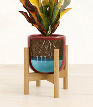 Load image into Gallery viewer, Striped Cherry Red stand:bamboo