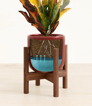 Load image into Gallery viewer, Striped Cherry Red stand:walnut