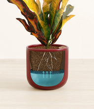 Load image into Gallery viewer, Striped Cherry Red