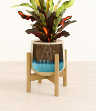 Load image into Gallery viewer, Almond Green stand:bamboo