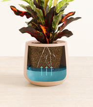 Load image into Gallery viewer, Gentle Pink