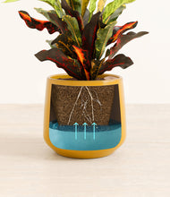 Load image into Gallery viewer, Mustard