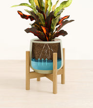 Load image into Gallery viewer, Turquoise stand:bamboo