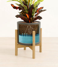 Load image into Gallery viewer, Dark Olive stand:bamboo