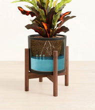 Load image into Gallery viewer, Black stand:walnut