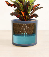 Load image into Gallery viewer, Deep Navy