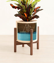 Load image into Gallery viewer, Cream stand:walnut