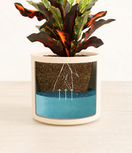 Load image into Gallery viewer, Cream