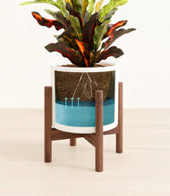 Load image into Gallery viewer, White stand:walnut