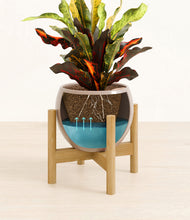 Load image into Gallery viewer, Desert Brown stand:bamboo