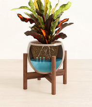 Load image into Gallery viewer, Desert Brown stand:walnut