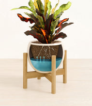 Load image into Gallery viewer, Shiny EggWhite stand:bamboo