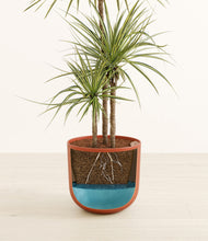 Load image into Gallery viewer, Earth Red