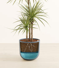 Load image into Gallery viewer, Iron Gray