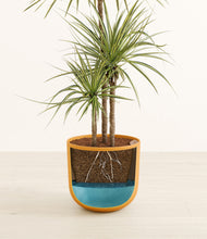 Load image into Gallery viewer, Sunset Orange