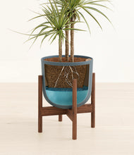 Load image into Gallery viewer, Iron Gray stand:walnut