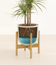 Load image into Gallery viewer, Natural Bamboo stand:bamboo