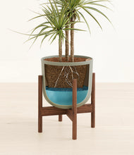 Load image into Gallery viewer, Sage Green stand:walnut