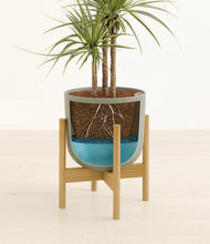 Load image into Gallery viewer, Sage Green stand:bamboo