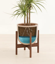 Load image into Gallery viewer, Sandy Pink stand:walnut