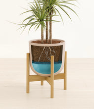 Load image into Gallery viewer, Sandy Pink stand:bamboo
