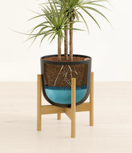 Load image into Gallery viewer, Stone Black stand:bamboo