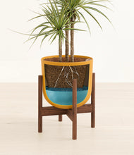 Load image into Gallery viewer, Sunset Orange stand:walnut