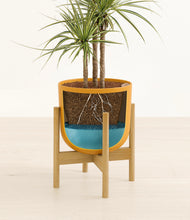 Load image into Gallery viewer, Sunset Orange stand:bamboo