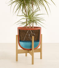 Load image into Gallery viewer, Earth Red stand:bamboo
