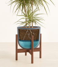 Load image into Gallery viewer, Iron Gray stand:walnut