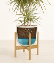 Load image into Gallery viewer, Natural Bamboo stand:bamboo