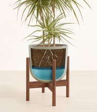 Load image into Gallery viewer, Sage Green stand:walnut