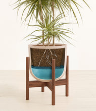 Load image into Gallery viewer, Sandy Pink stand:walnut