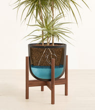 Load image into Gallery viewer, Stone Black stand:walnut