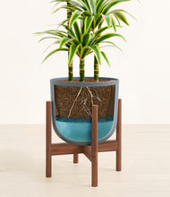 Load image into Gallery viewer, Iron Gray stand:walnut