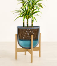 Load image into Gallery viewer, Iron Gray stand:bamboo