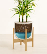 Load image into Gallery viewer, Natural Bamboo stand:bamboo
