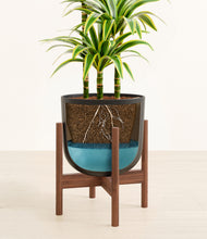 Load image into Gallery viewer, Stone Black stand:walnut