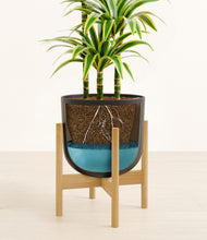 Load image into Gallery viewer, Stone Black stand:bamboo