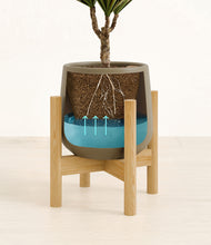 Load image into Gallery viewer, Olive stand:bamboo