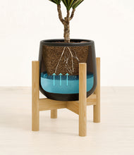 Load image into Gallery viewer, Black stand:bamboo