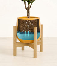 Load image into Gallery viewer, Mustard stand:bamboo