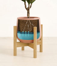 Load image into Gallery viewer, Calm Rose stand:bamboo