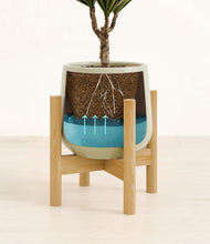 Load image into Gallery viewer, Turquoise stand:bamboo